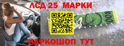 дживик Тара