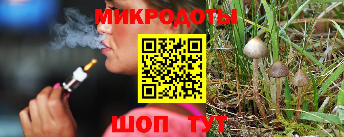 Ачхой-Мартан  Галлюциногенные грибы мухоморы  Вход с VPN 