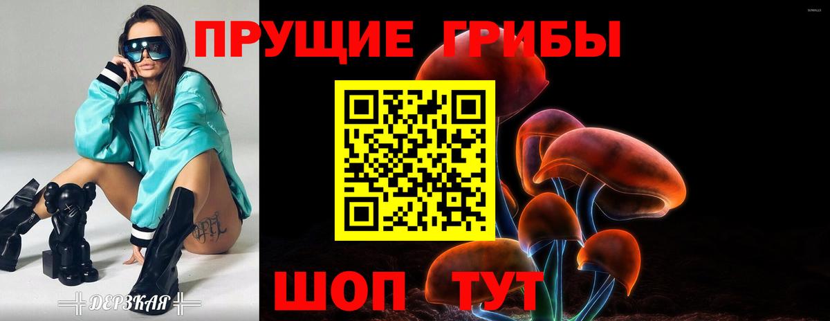 Галлюциногенные грибы мицелий Ачхой-Мартан